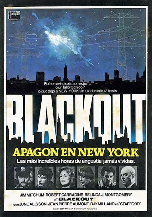 Póster de Blackout