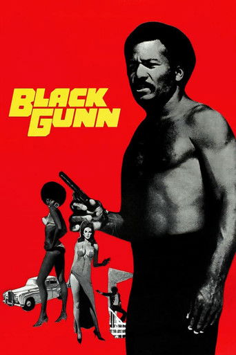 Póster de Black Gunn