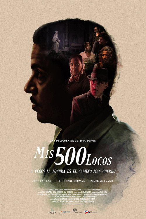 Póster de Mis 500 locos