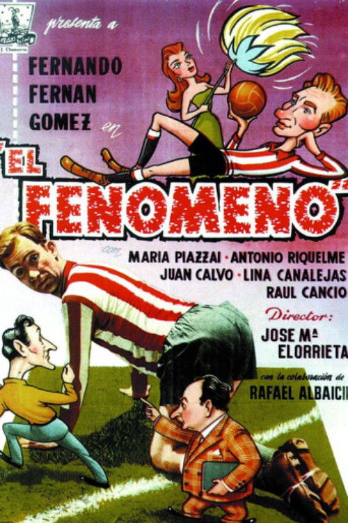 Póster de El fenómeno