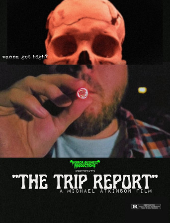 Póster de The Trip Report