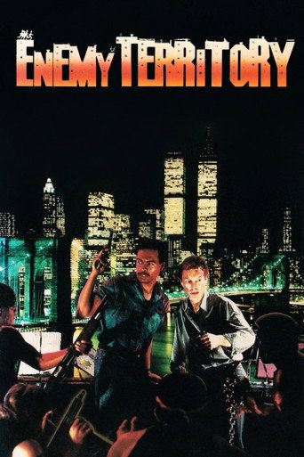 Póster de Enemy Territory