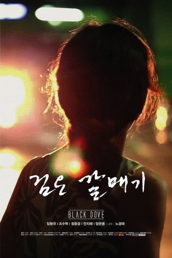 Póster de 검은 갈매기