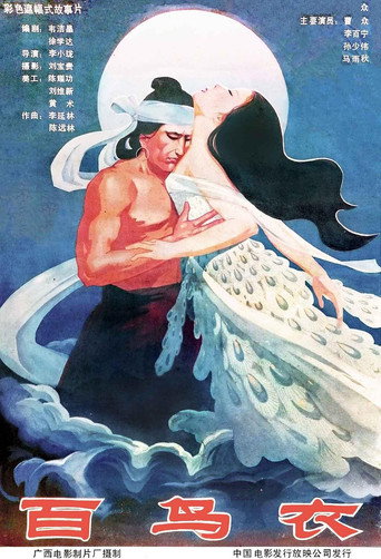 Póster de 神女梦
