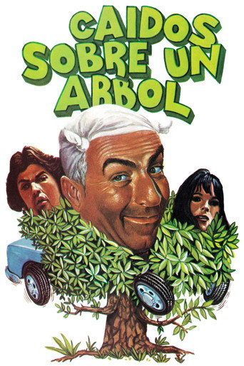 Póster de Sur un arbre perché