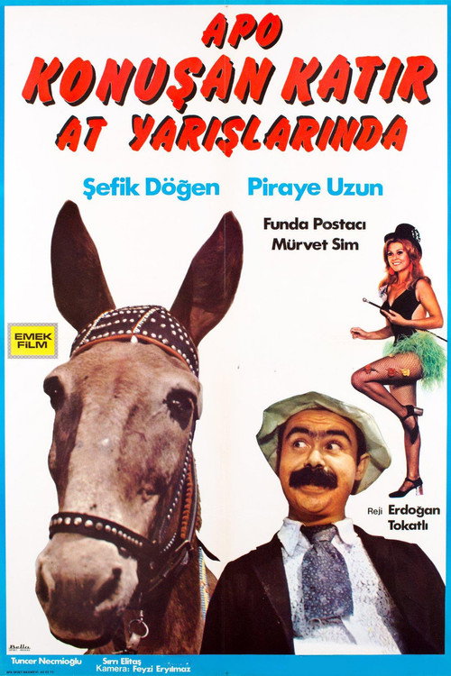 Póster de Apo Konuşan Katır At Yarışlarında