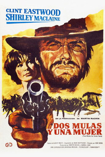 Póster de Dos mulas para la hermana Sara