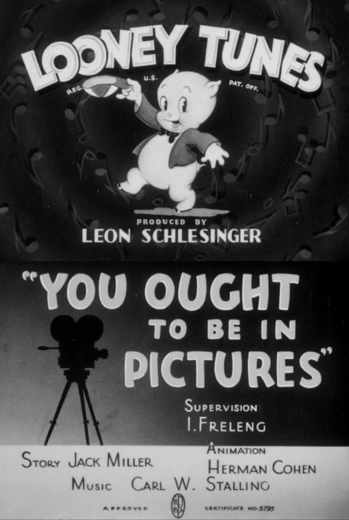 Póster de You Ought to Be in Pictures