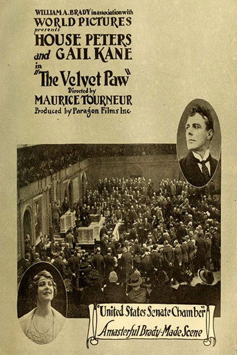 Póster de The Velvet Paw