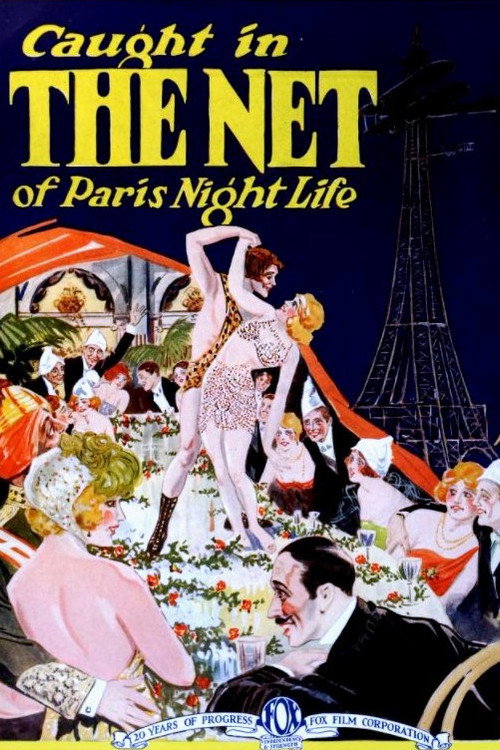 Póster de The Net