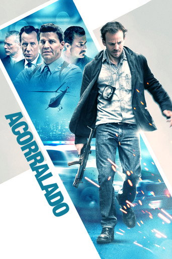 Póster de Acorralado