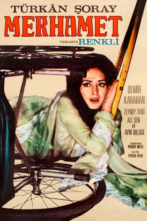 Póster de Merhamet