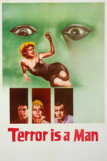 Póster de Terror Is a Man