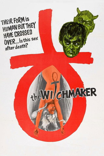 Póster de The Naked Witch