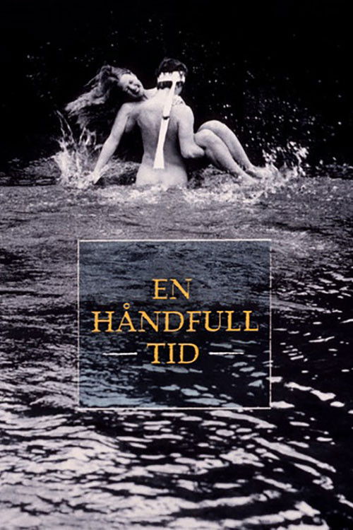 Póster de En håndfull tid