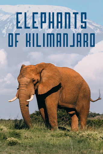 Póster de Elephants of Kilimanjaro