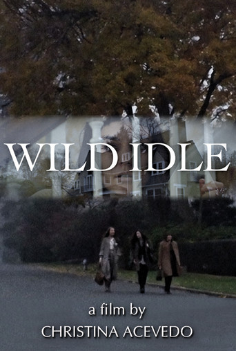 Póster de Wild Idle