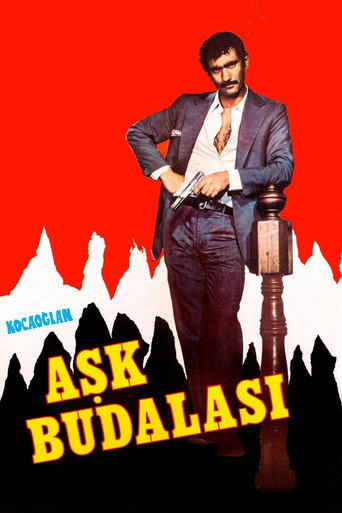Póster de Kocaoğlan: Aşk Budalası