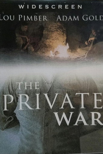 Póster de The Private War