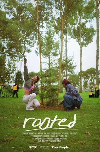 Póster de Rooted