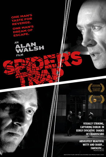 Póster de Spiders Trap
