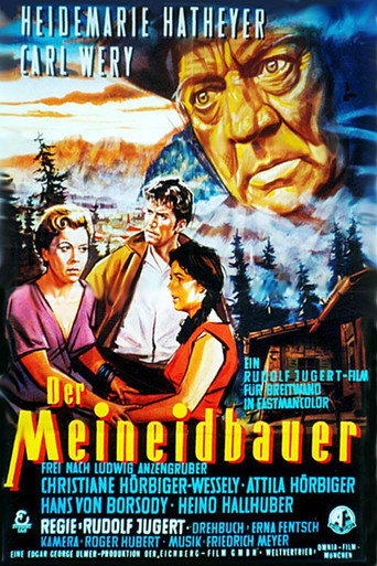 Póster de Der Meineidbauer