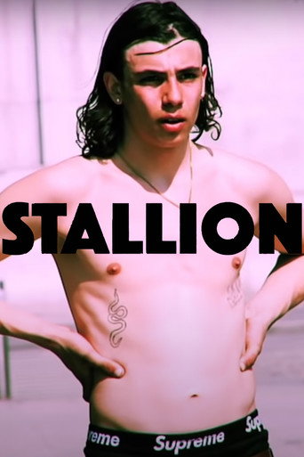 Póster de STALLION