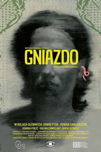 Póster de Gniazdo