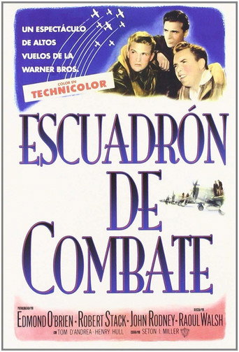 Póster de Fighter Squadron