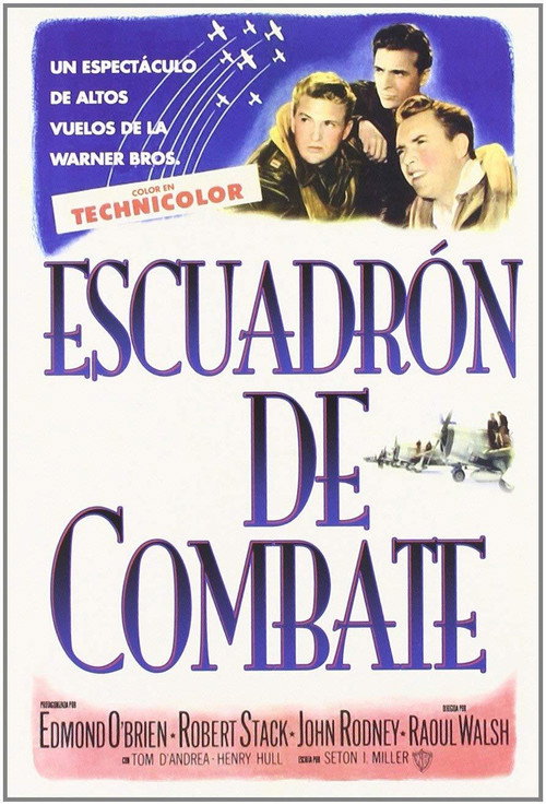 Póster de Fighter Squadron