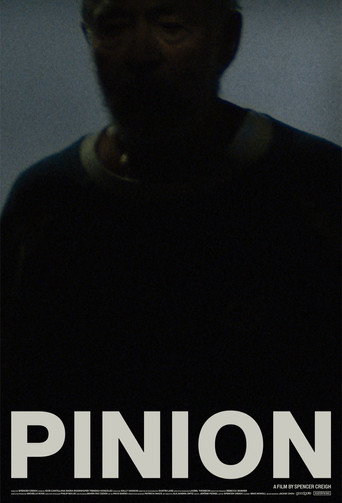 Póster de Piñón