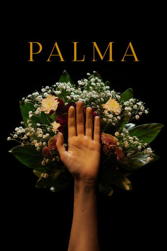 Póster de Palma
