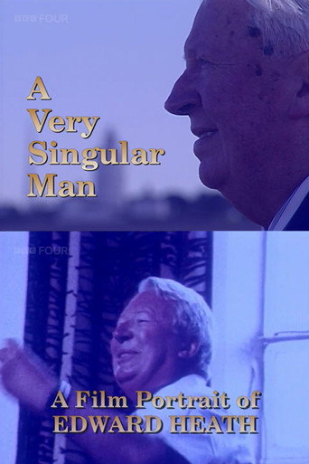Póster de A Very Singular Man