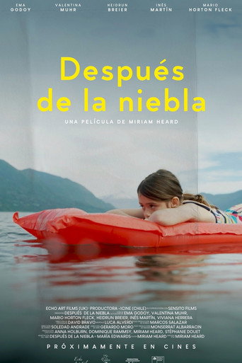 Póster de Después de la niebla