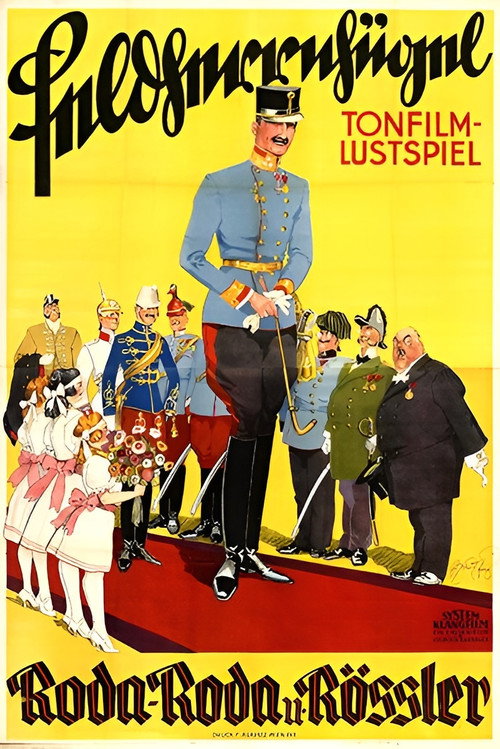 Póster de Der Feldherrnhügel