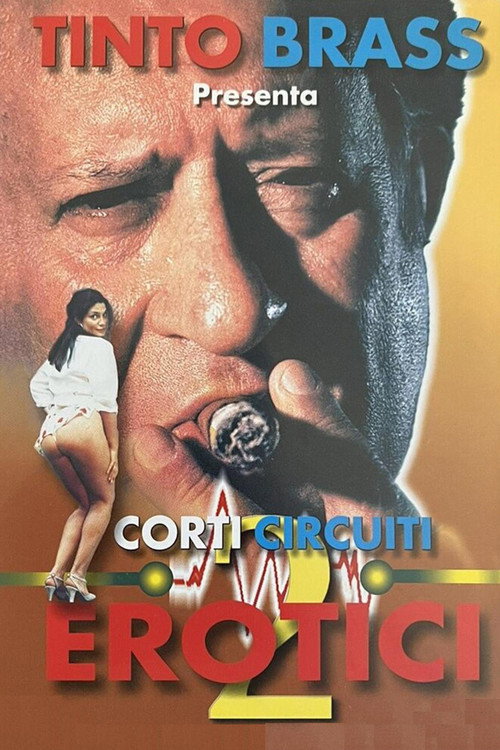 Póster de Corti circuiti erotici Vol.2