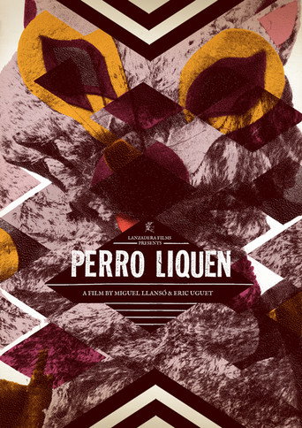 Póster de Perro Liquen