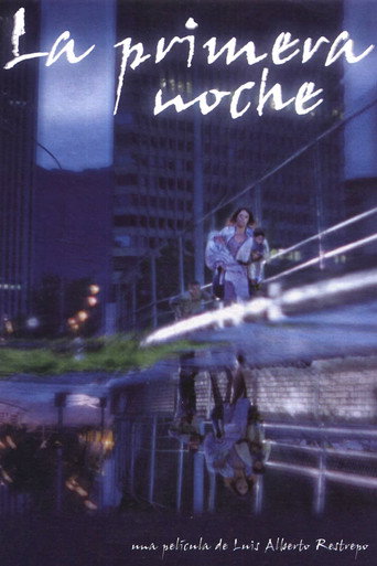 Póster de La primera noche
