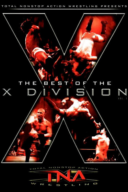 Póster de The Best of the X Division Vol. 1