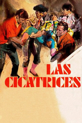 Póster de Las cicatrices