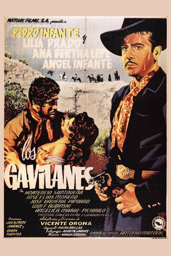 Póster de Pedro Infante: Los gavilanes