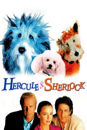 Póster de Hercule & Sherlock