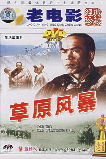 Póster de 草原风暴