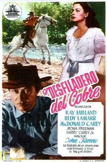 Póster de El placer de la venganza
