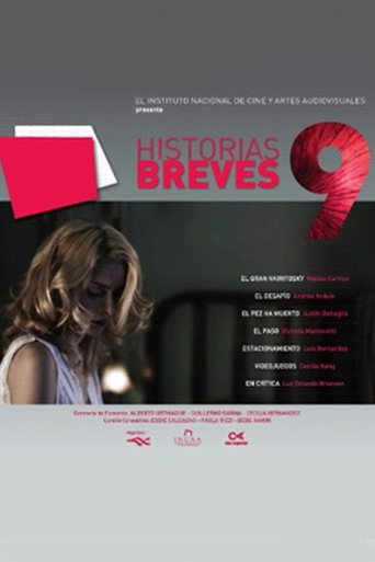 Póster de Historias breves 9