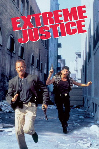 Póster de Extreme Justice