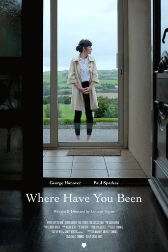 Póster de Where Have You Been