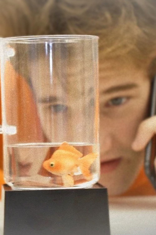 Póster de A Fishy State of Mind