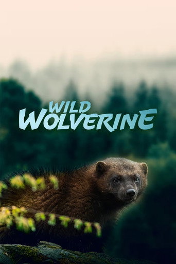 Póster de Wild Wolverine