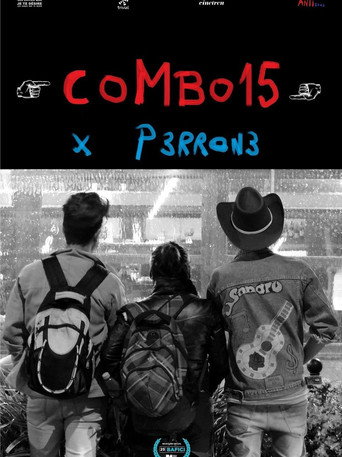 Póster de COMBO15
